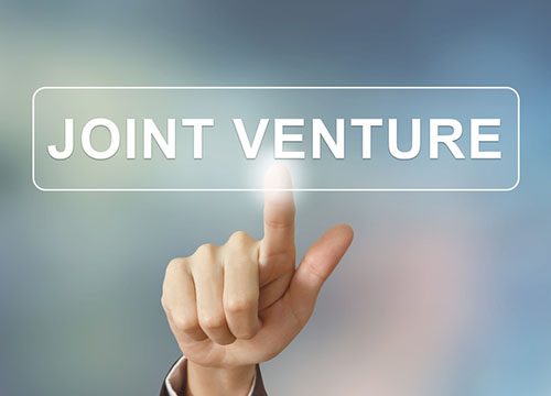 Establish a Joint Venture in Vietnam