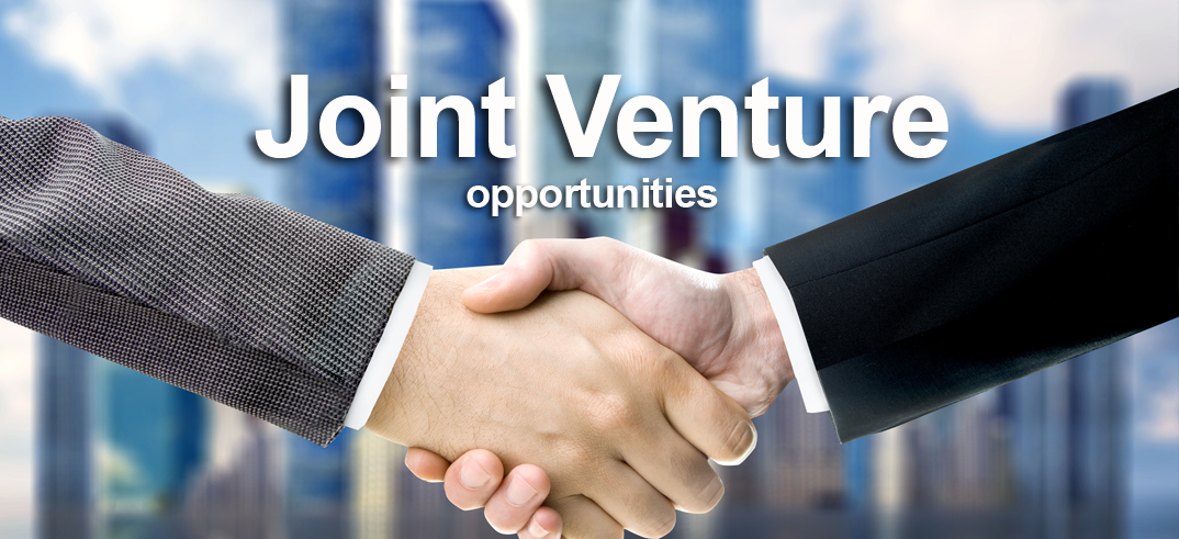 Establish a Joint Venture in Vietnam