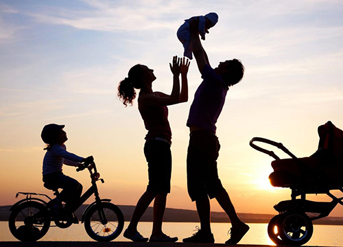 Lawyer for Families